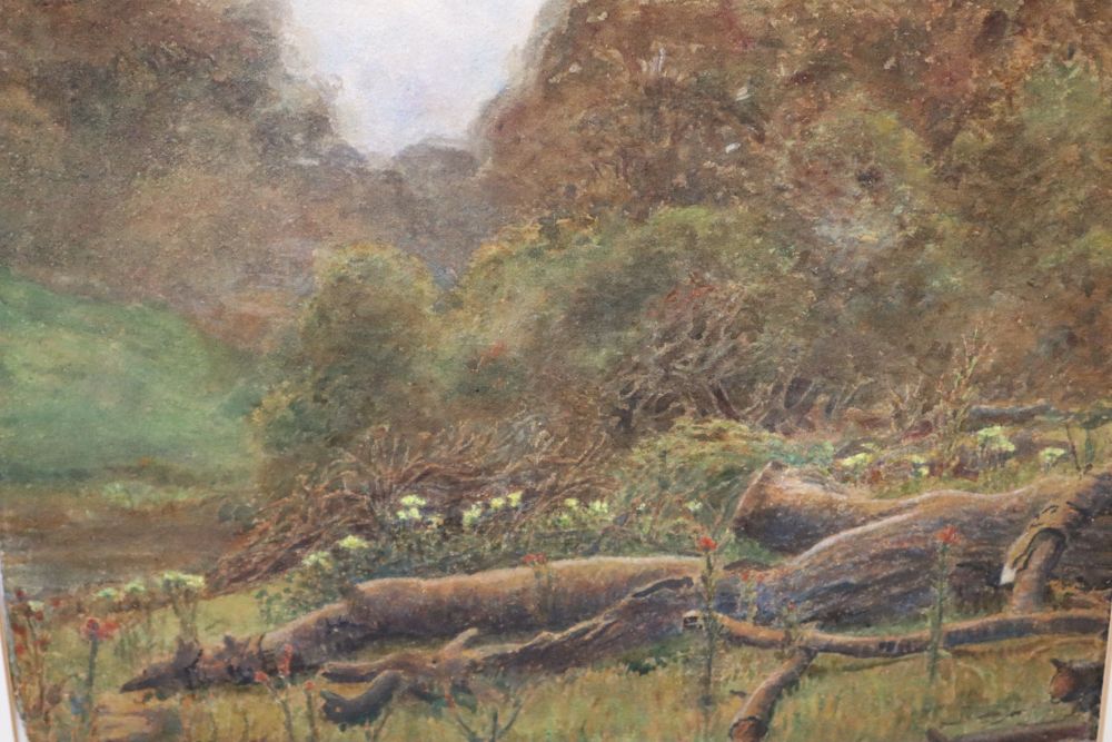 George Marks (1857-1933) watercolour, Fallen Tree, signed, 27 x 36.5cm